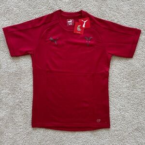 Puma Chivas Guadalajara T-Shirt Men Size Large Red Casual Tee NEW